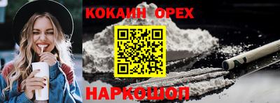 прущий лед Новозыбков